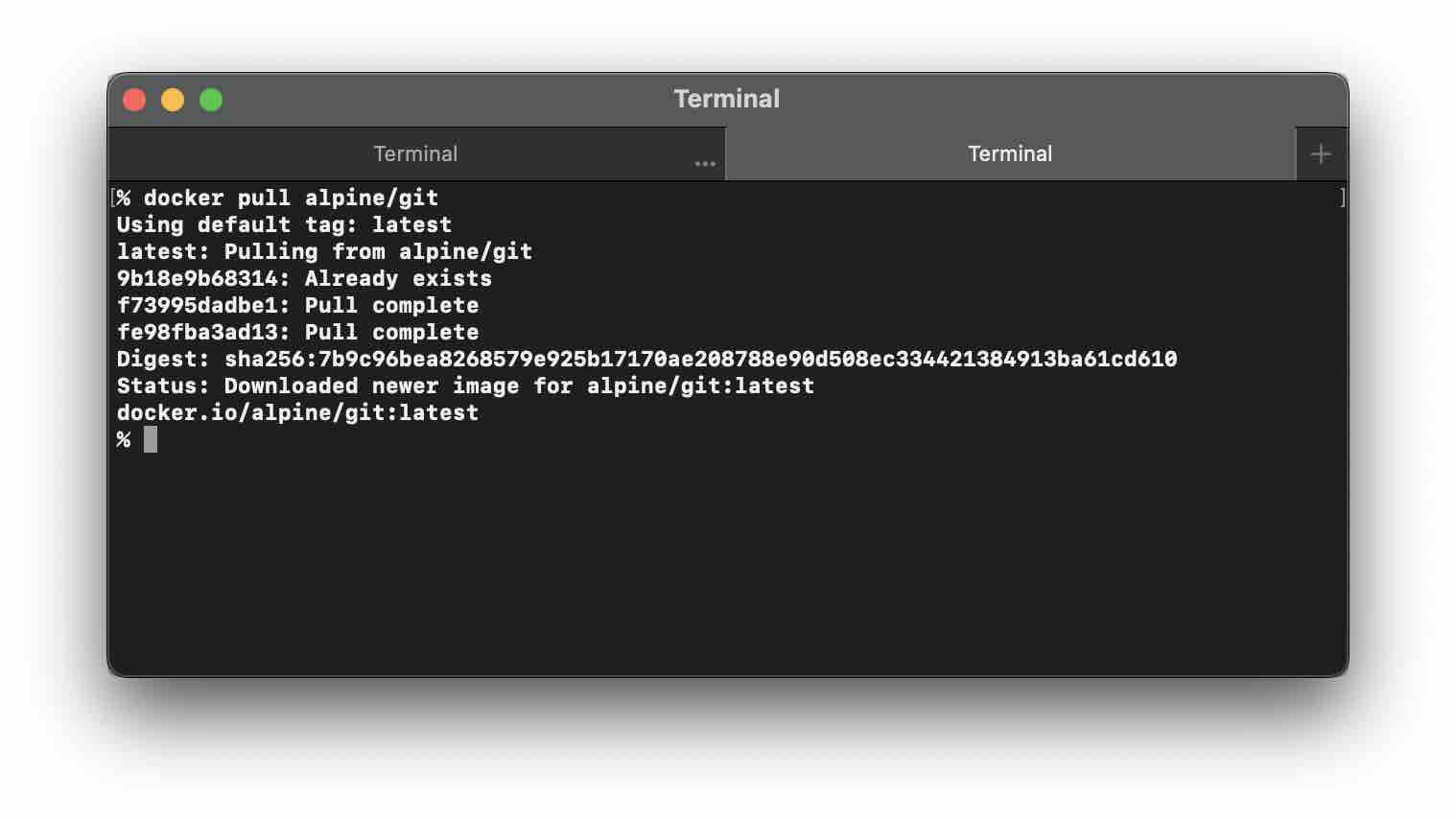 Installing Alpine Git Docker
